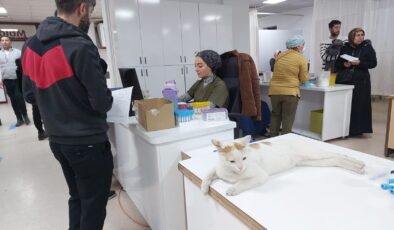 Hastanenin Maskot Kedisi “Derman” hastaların ilgi odağı oldu