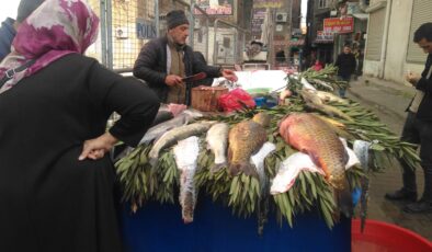 Diyarbakır’da Şabut ve Çay Balığı’na ilgi arttı