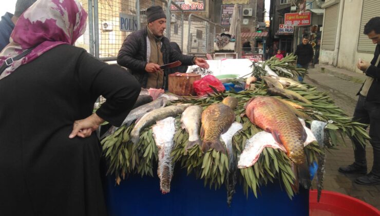 Diyarbakır’da Şabut ve Çay Balığı’na ilgi arttı