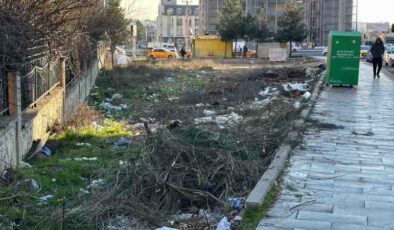 Yeşil alana çöp dökme rezaleti