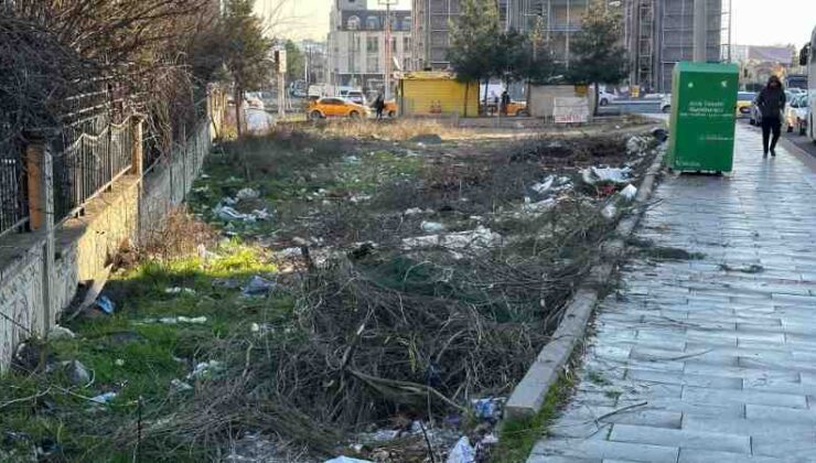 Yeşil alana çöp dökme rezaleti