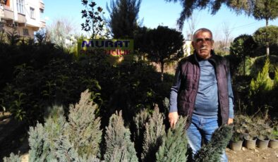 Diyarbakır’da fidan ve ağaç satışlarına talep arttı