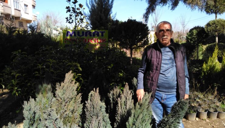 Diyarbakır’da fidan ve ağaç satışlarına talep arttı