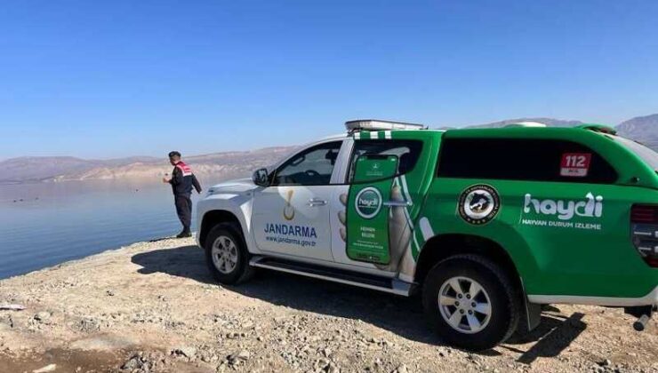 jandarma yabani kuşlar için doğaya yem bıraktı