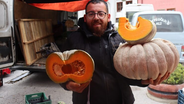 Diyarbakır’da Ramazan’ın vazgeçilmezi Bal Kabaklarına talep arttı!