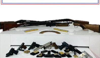 Bingöl’de silah kaçakçılığı operasyonu: 1 gözaltı