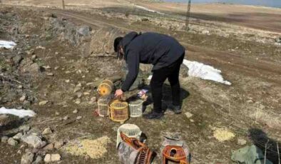Adilcevaz’da kaçak avcılara büyük ceza