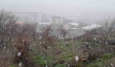 Bahar mevsiminde Kulp’ta sürpriz kar yağışı