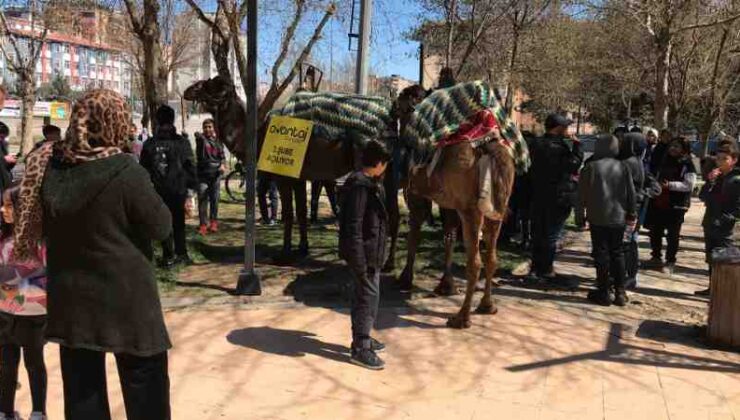 Batman’da develi tanıtım şovu