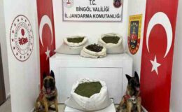 Bingöl’de esrar operasyonu