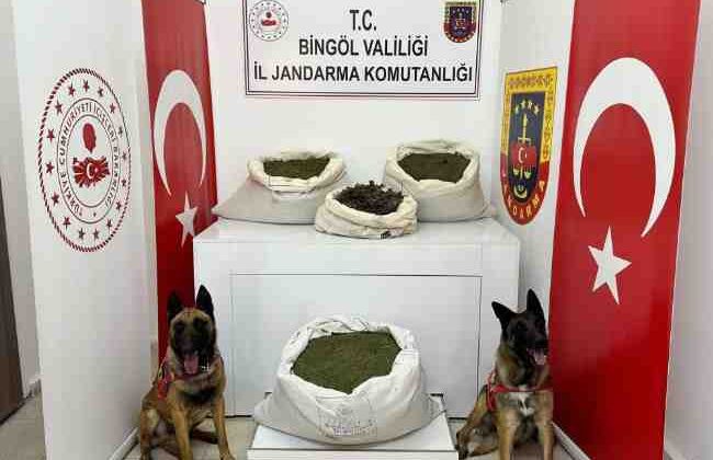 Bingöl’de esrar operasyonu