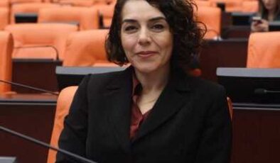 DEM Parti milletvekili Fırat Tutşi’yi meclise sordu