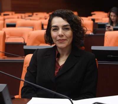 DEM Parti milletvekili Fırat Tutşi’yi meclise sordu