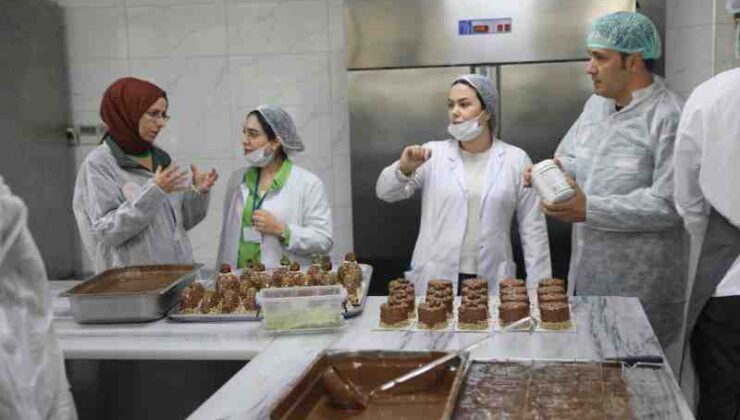 Diyarbakır’da 2002 işletmeye denetim