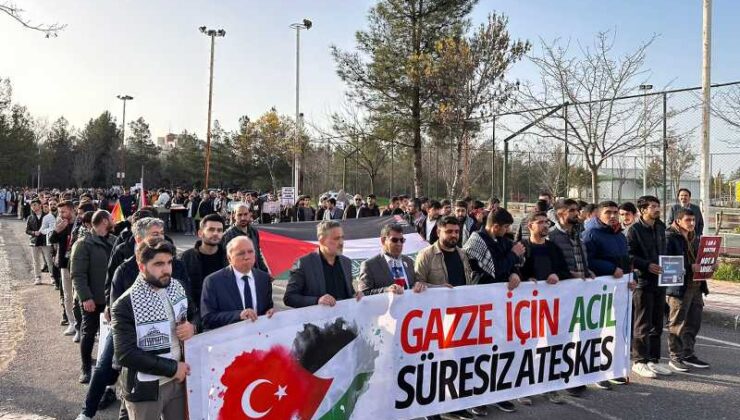 Diyarbakır’da Filistin’e destek için insanlık zinciri oluştu