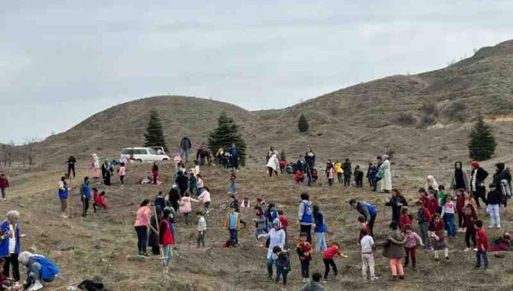 Elazığ’da minik eller fidan dikti