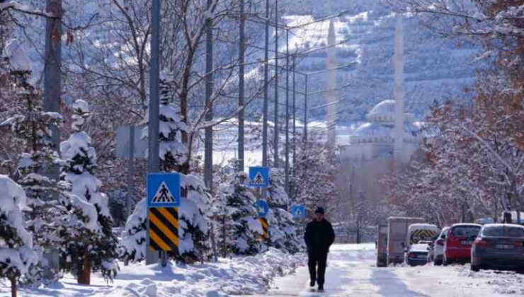 Erzurum’da kartpostallık kar manzaraları