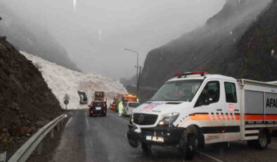 Hakkari-Çukurca yolu çığ altında