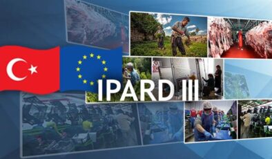 2024 TKDK hibe programı açıklandı