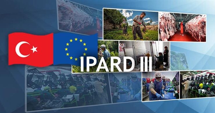 2024 TKDK hibe programı açıklandı