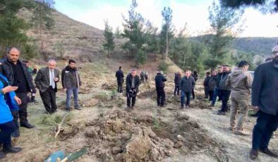 Kahramanmaraş’ta ormanlar yeşeriyor