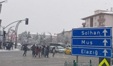 Bingöl’de kar tatili: Okullar kapandı