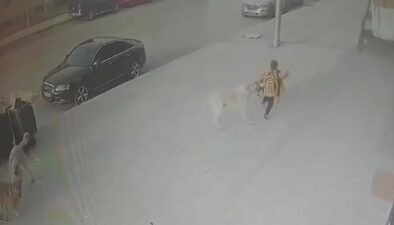Köpeklerin saldırısına uğrayan çocuğu vatandaşlar kurtardı