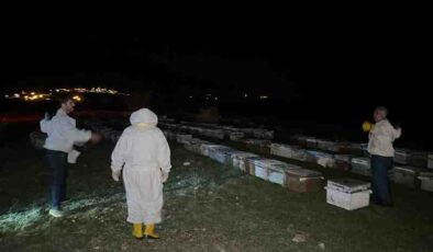 Kulp’ta arıcılara 1540 kovan hibe edildi