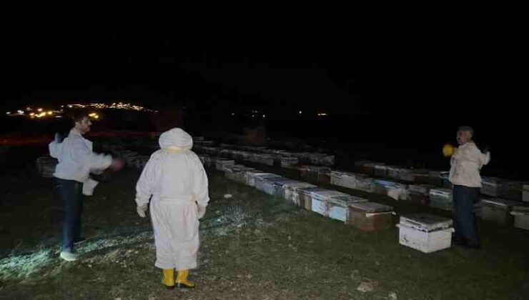 Kulp’ta arıcılara 1540 kovan hibe edildi