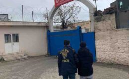 Mardin’de operasyon: 15 tutuklama