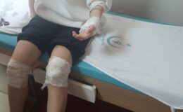 Okul yolunda köpek saldırısı