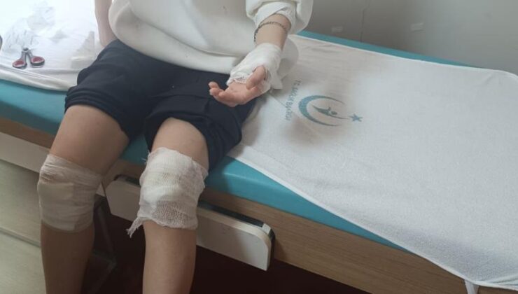 Okul yolunda köpek saldırısı