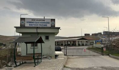 Siirt’te şap alarmı: Pazar kapandı
