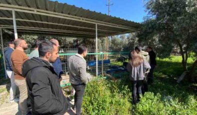 Siirt’te yenilikçi sulama tekniği ekibi