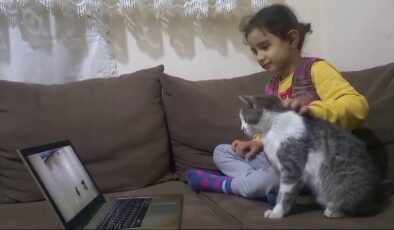 Kedi çizgi film ve oyun bağımlısı oldu