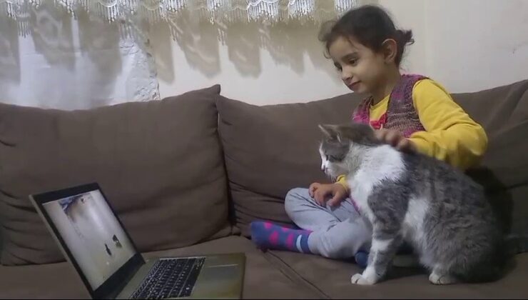 Kedi çizgi film ve oyun bağımlısı oldu