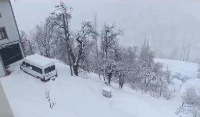 Van’da kar yağışı hayatı felç etti