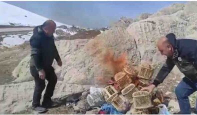 Van’da kafes avcılarına ceza