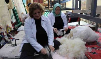 Van’dan Dünya’ya Norduz yeniliği
