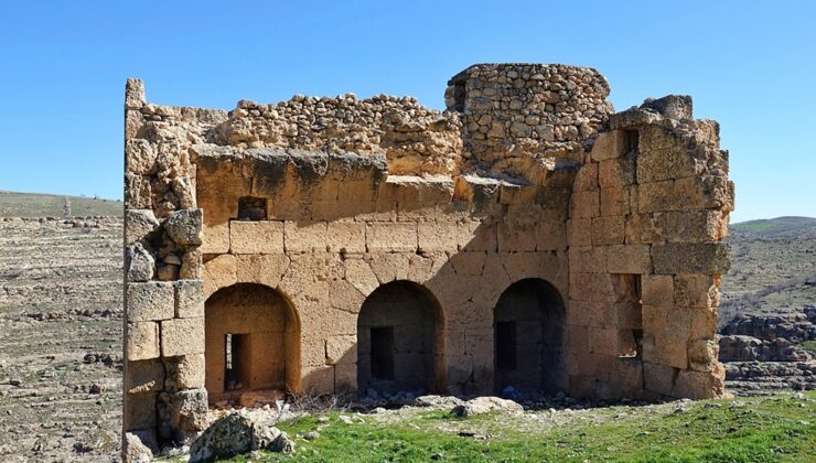 Bölgenin yeni Zerzevan’ı ‘Kela pozreş’ ilgi bekliyor