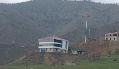 Kulp Kaymakamı Akeller, Şehit Ailelerinin bayrak talebini yerine getirdi