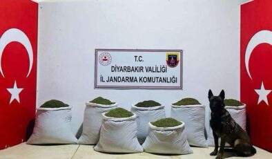 Jandarmadan Uyuşturucu operasyonu: 129 Kilogram Esrar Ele Geçirildi