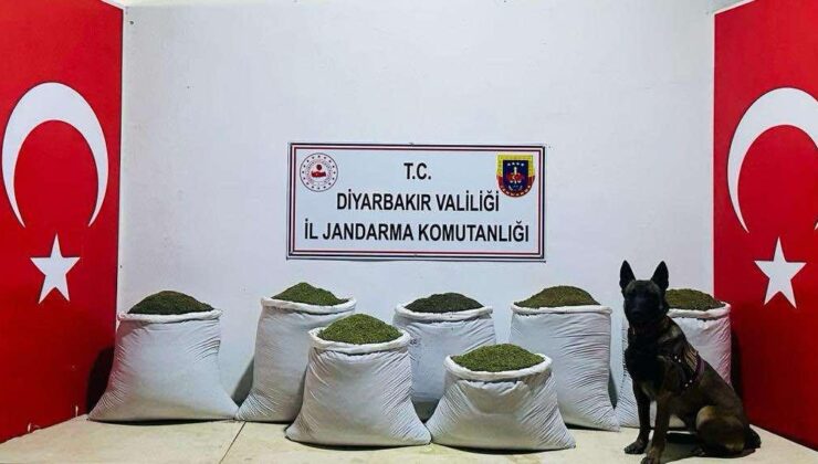 Jandarmadan Uyuşturucu operasyonu: 129 Kilogram Esrar Ele Geçirildi
