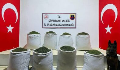 Jandarmadan uyuşturucu operasyonu: 169 kilogram uyuşturucu ele geçirildi