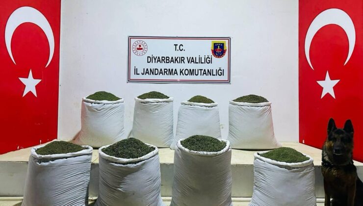 Jandarmadan uyuşturucu operasyonu: 169 kilogram uyuşturucu ele geçirildi