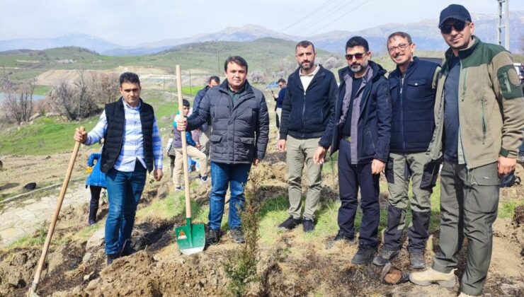Adıyaman’da hatıra ormanı fidan dikim