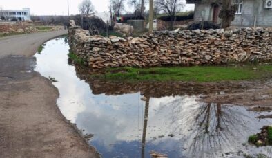 Mahalle sakinleri eksikliklerinin giderilmesini bekliyor
