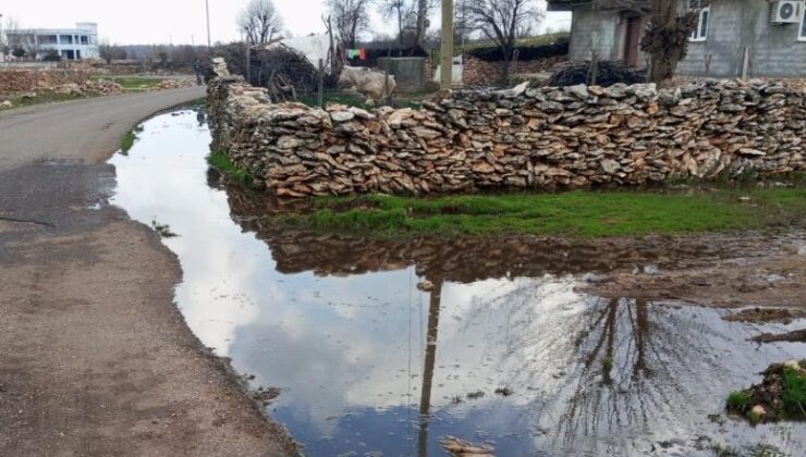 Mahalle sakinleri eksikliklerinin giderilmesini bekliyor