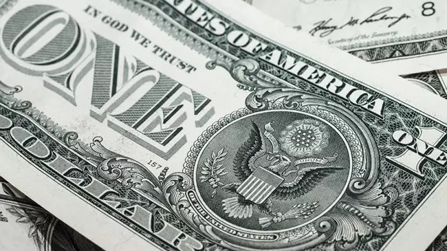 Dolar,15 gün sonra 40 TL olacak” şeklindeki iddiaları yalanladı