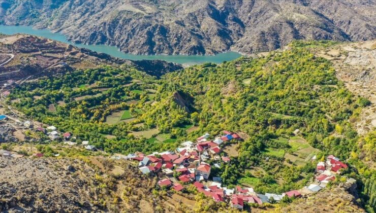Diyarbakır’da  Akdeniz iklimine sahip köy!